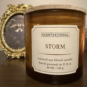 Scentsational‎ Storm Scent Candle Natural Soy Blend 26 oz 3 Wick
